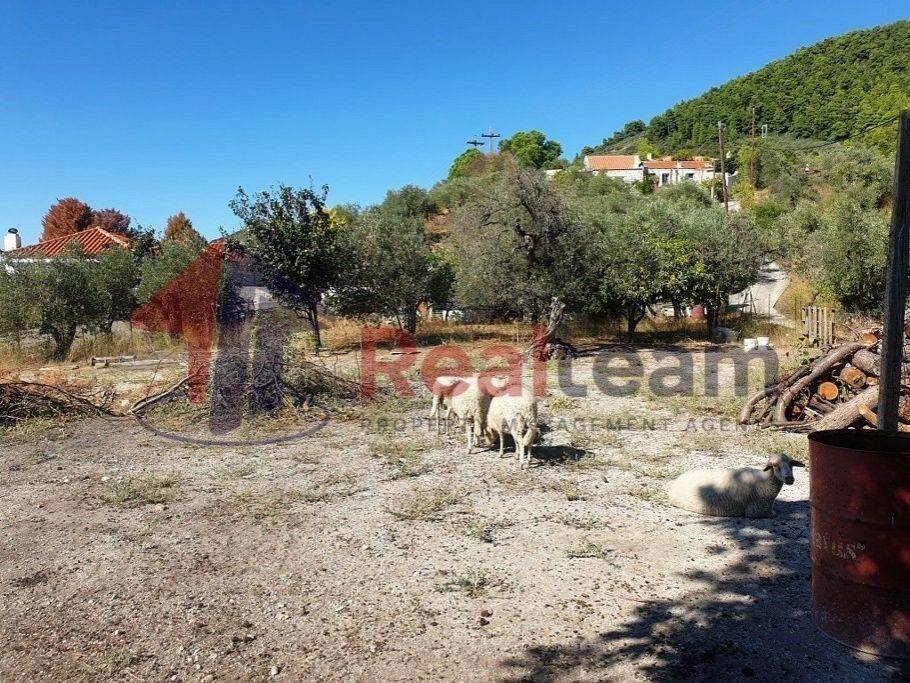 Εξωτερικοι χώροι