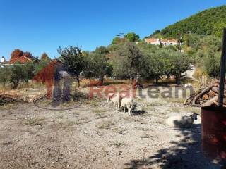 Εξωτερικοι χώροι