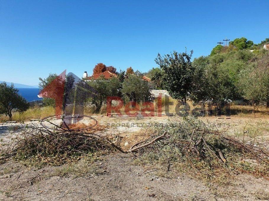 Εξωτερικοι χώροι