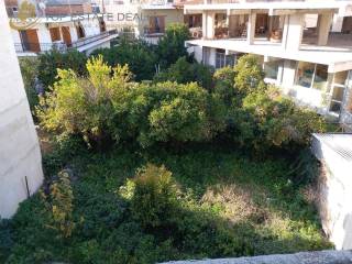 Piso akalyptos -kepos