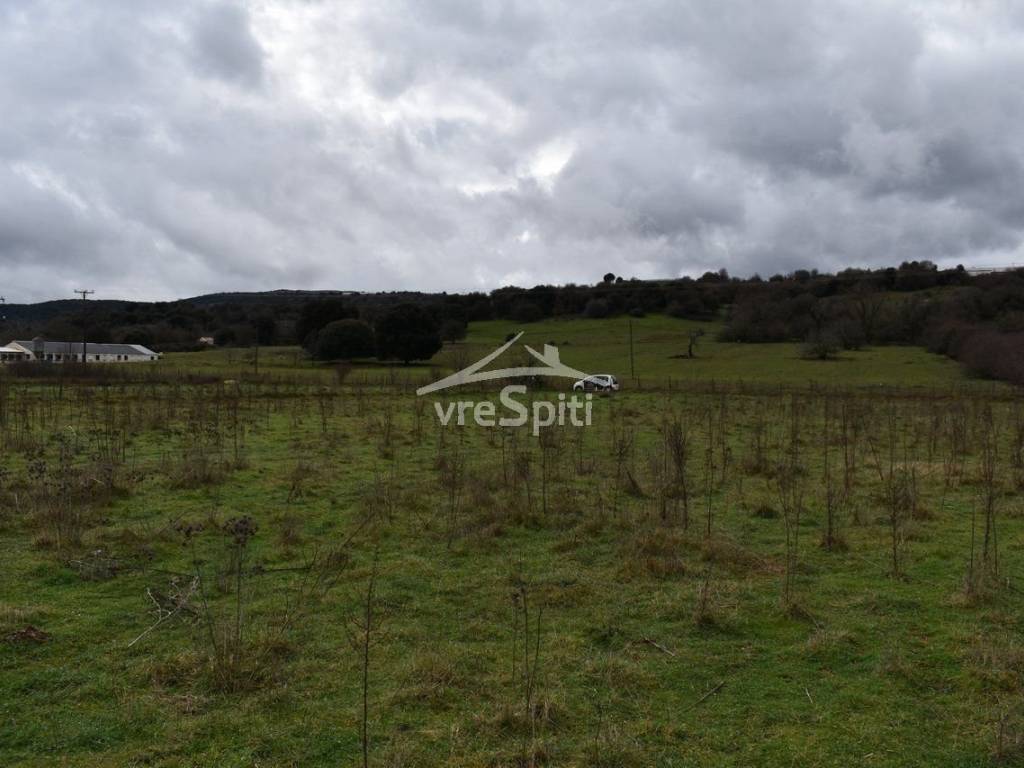 ΑΠΟΨΗ ΑΓΡΟΤΕΜΑΧΙΟΥ