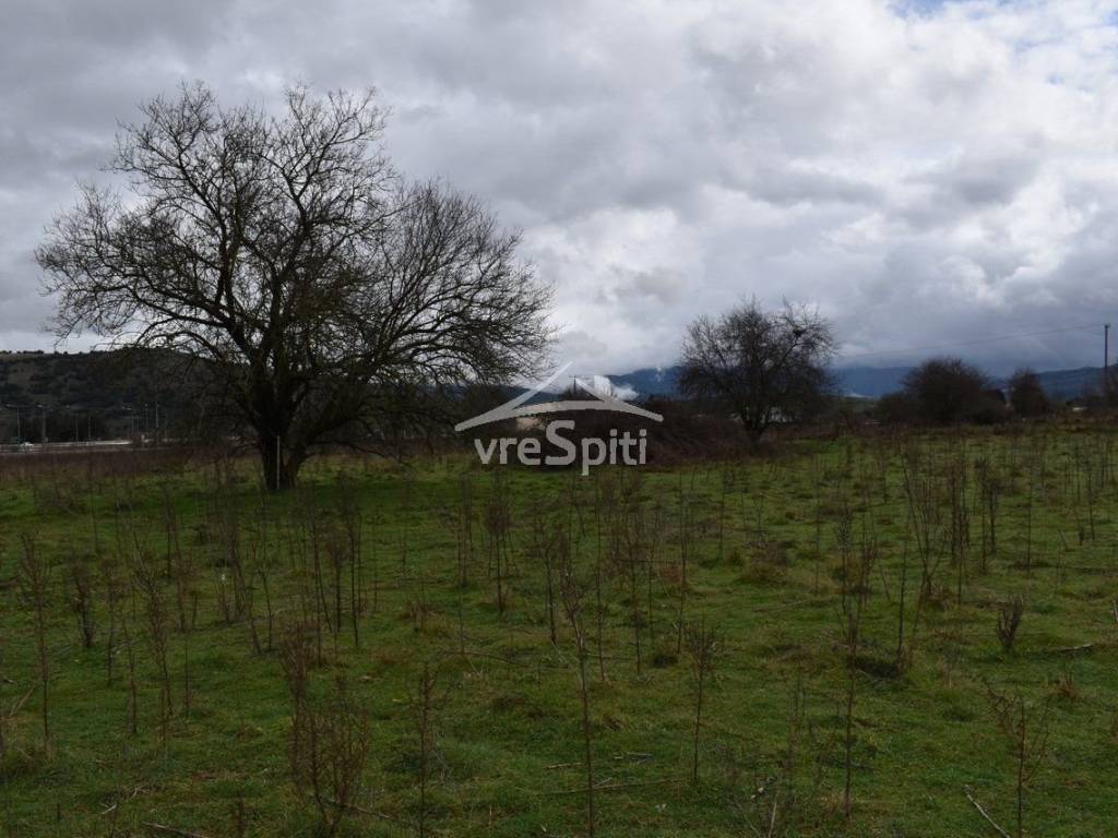 ΑΠΟΨΗ ΑΓΡΟΤΕΜΑΧΙΟΥ