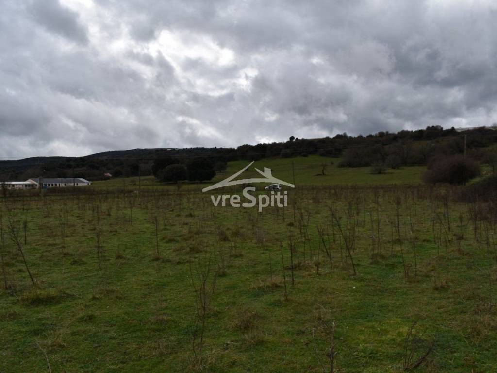 ΑΠΟΨΗ ΑΓΡΟΤΕΜΑΧΙΟΥ