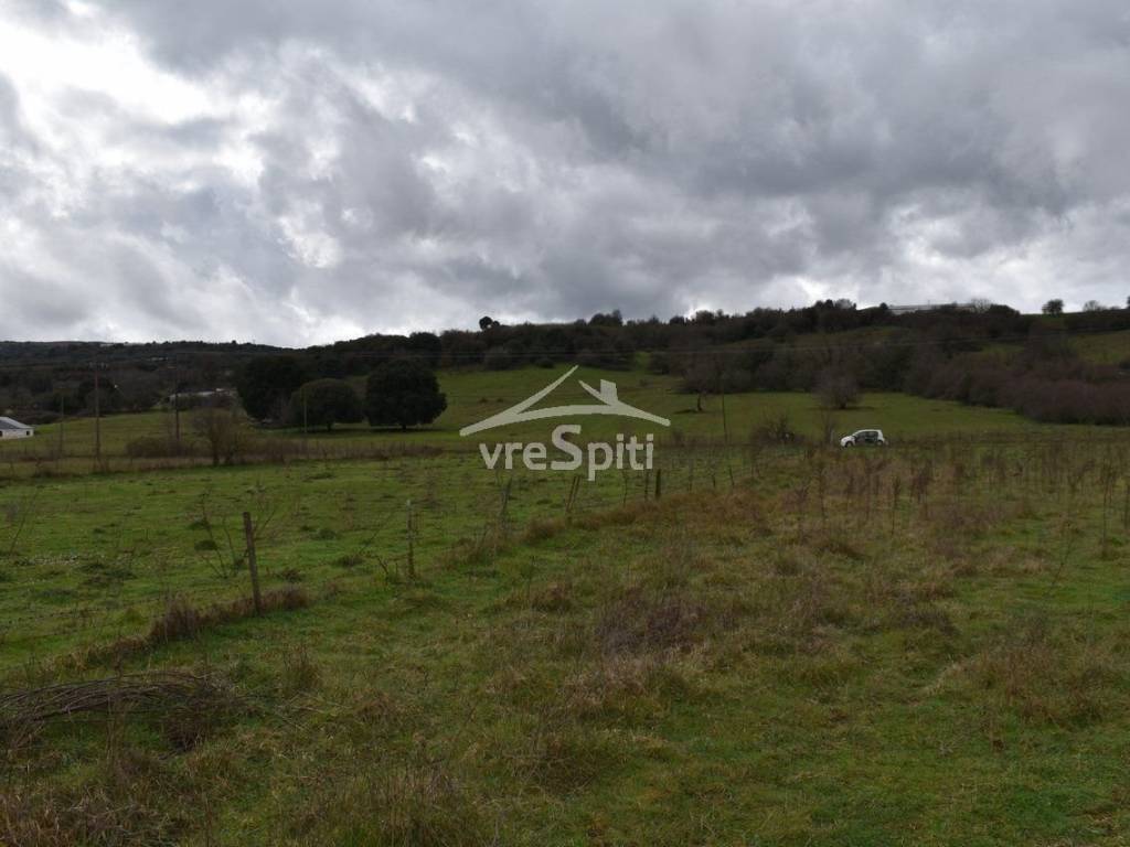 ΑΠΟΨΗ ΑΓΡΟΤΕΜΑΧΙΟΥ