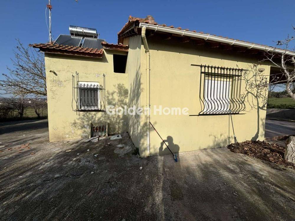 Κυρίως Χώρος