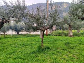 SE OIKOPEDO 1.853 T.M.