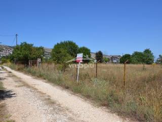 ΑΠΟΨΗ ΑΓΡΟΤΕΜΑΧΙΟΥ