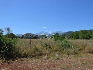 ΑΠΟΨΗ ΑΓΡΟΤΕΜΑΧΙΟΥ