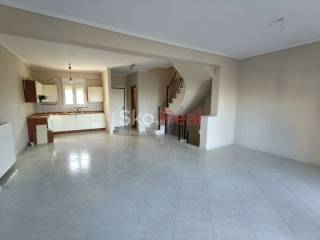 Σαλοκουζίνα