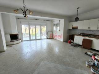 Σαλοκουζίνα