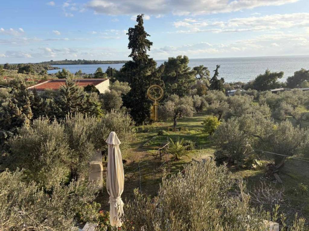 Θέα από μπαλκόνι