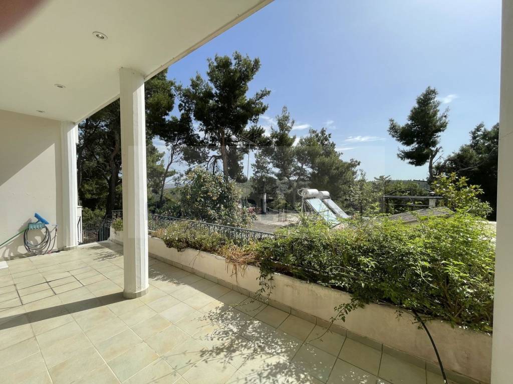 Εξωτερικοι χώροι