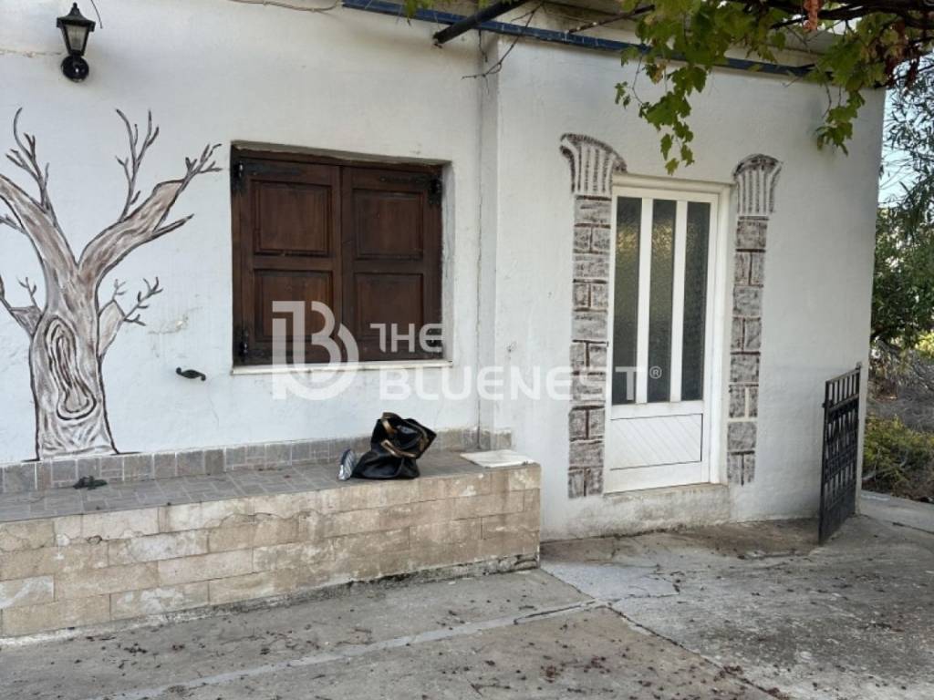 Εξωτερικός χώρος