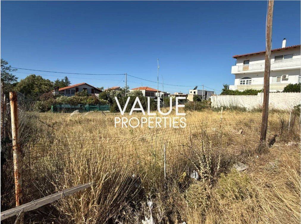 Εξωτερικοι χώροι