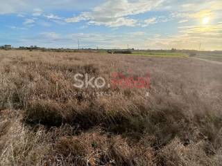 Αγροτεμάχιο Επανομή