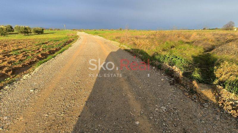 Αγροτεμάχιο Επανομή