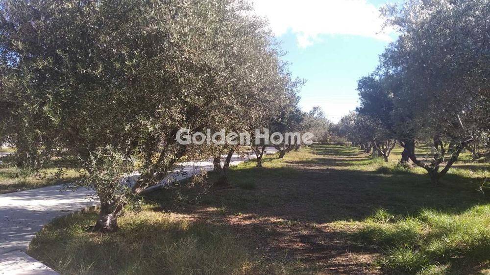 Εξωτερικός Χώρος