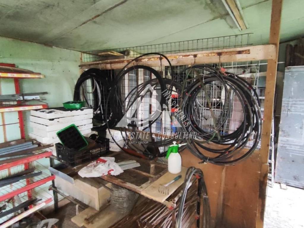 Ύπαρξη ανθρώπου