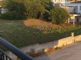 ΘΕΑ ΑΚΙΝΗΤΟΥ