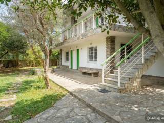 [AI-Enhanced Image] [AI-Enhanced Image]