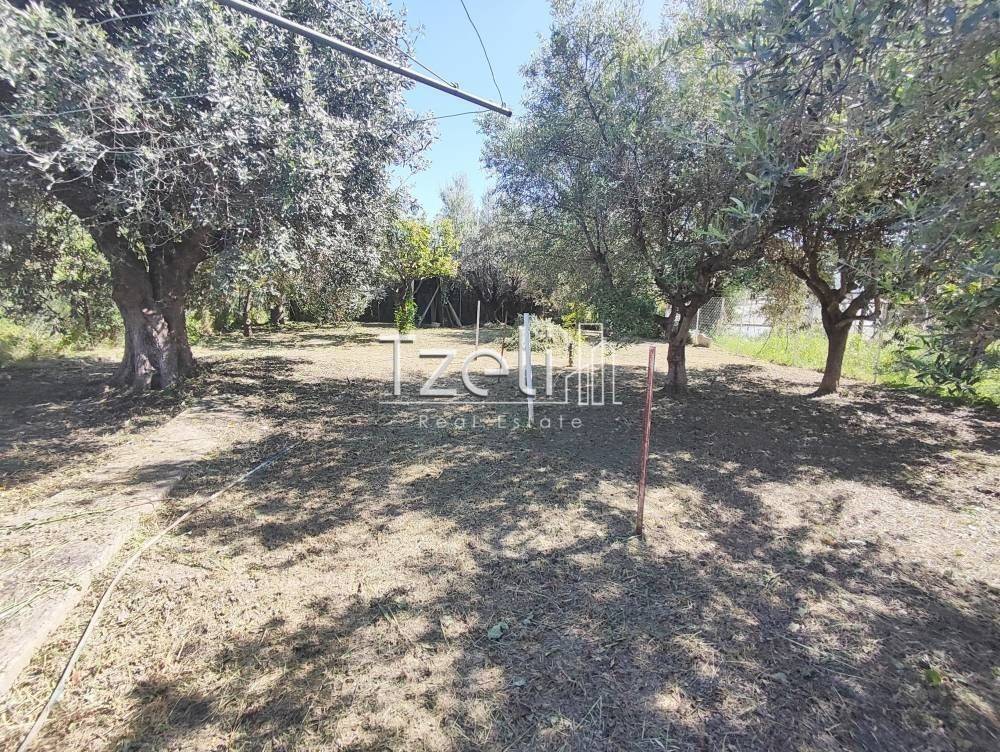 Εξωτερική άποψη χώρου