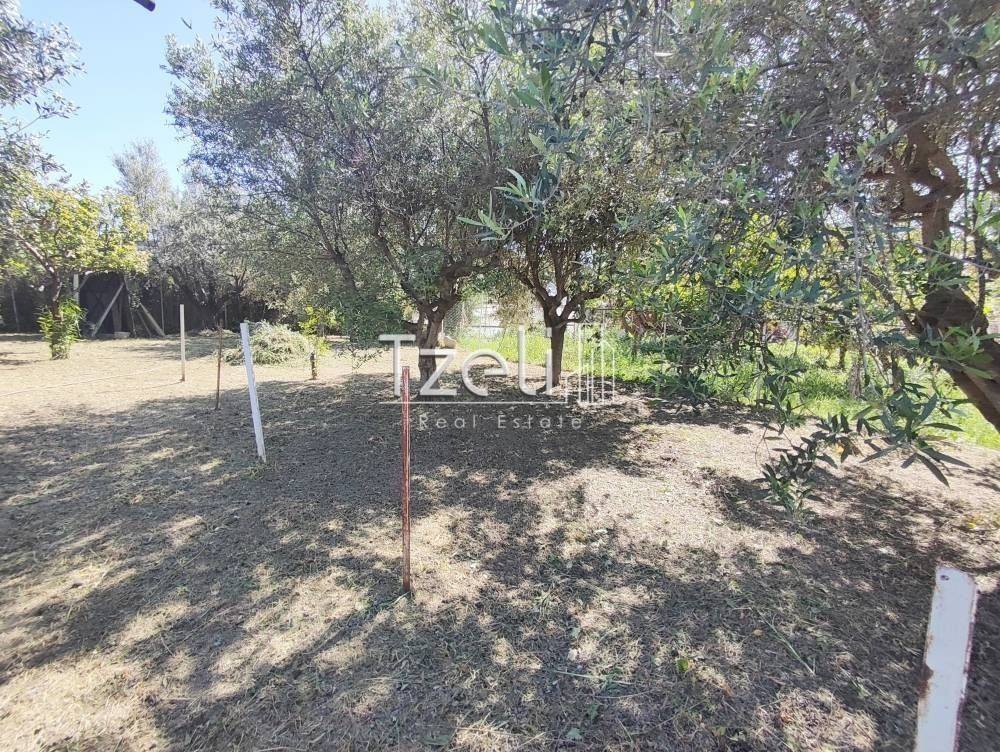 Εξωτερική άποψη χώρου