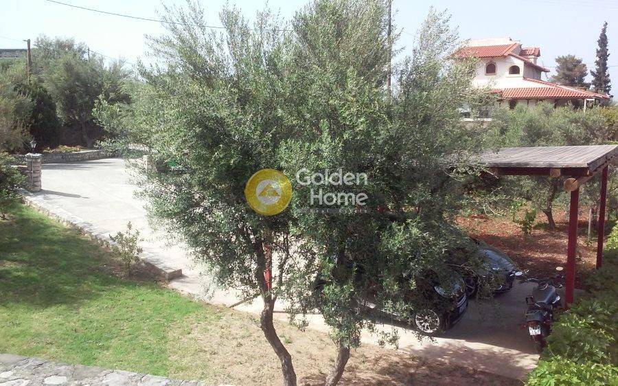 Εξωτερικός Χώρος