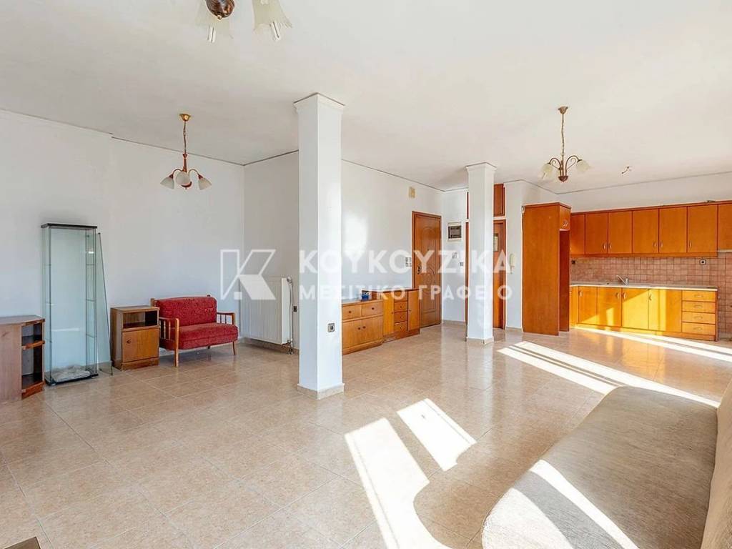 Σαλοκουζίνα