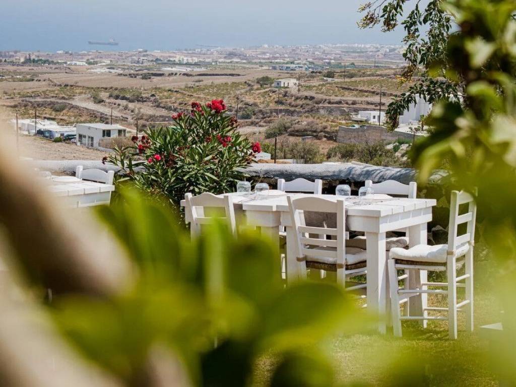 Other commercial - Grekodom 65473|1049104