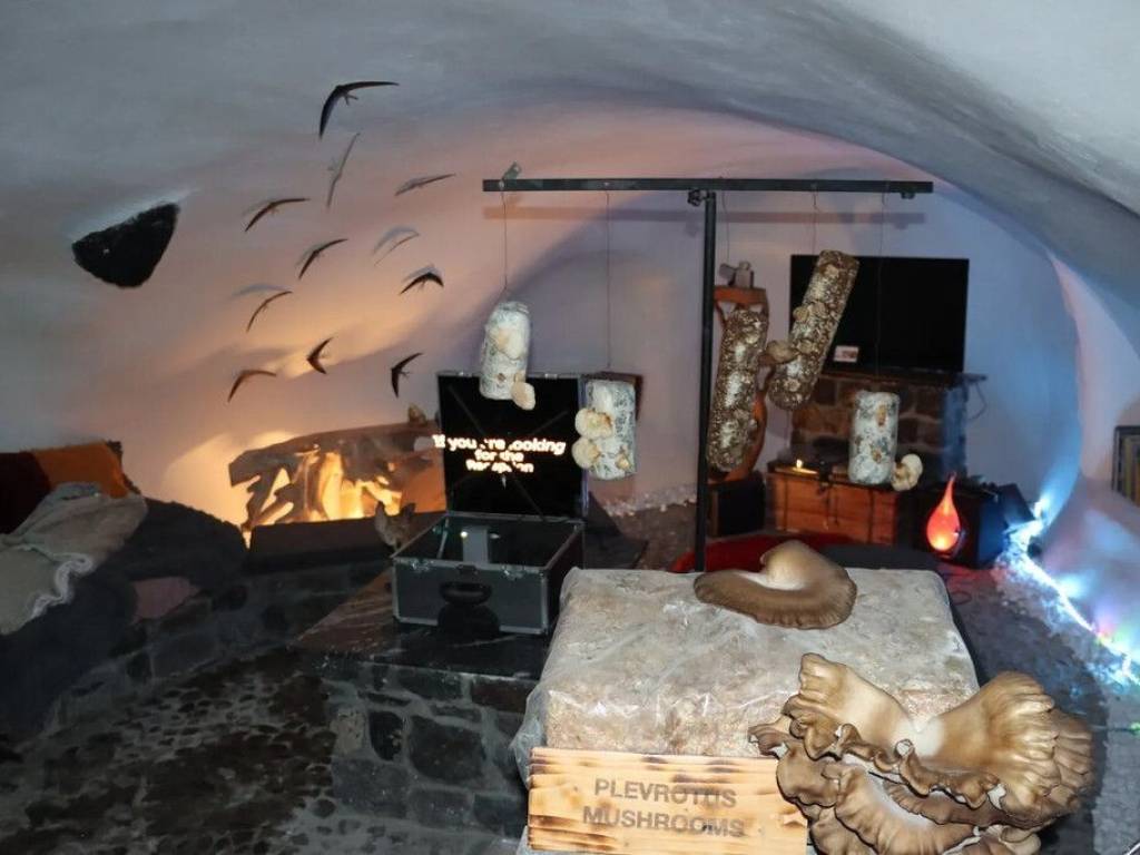 Other commercial - Grekodom 65473|1049094