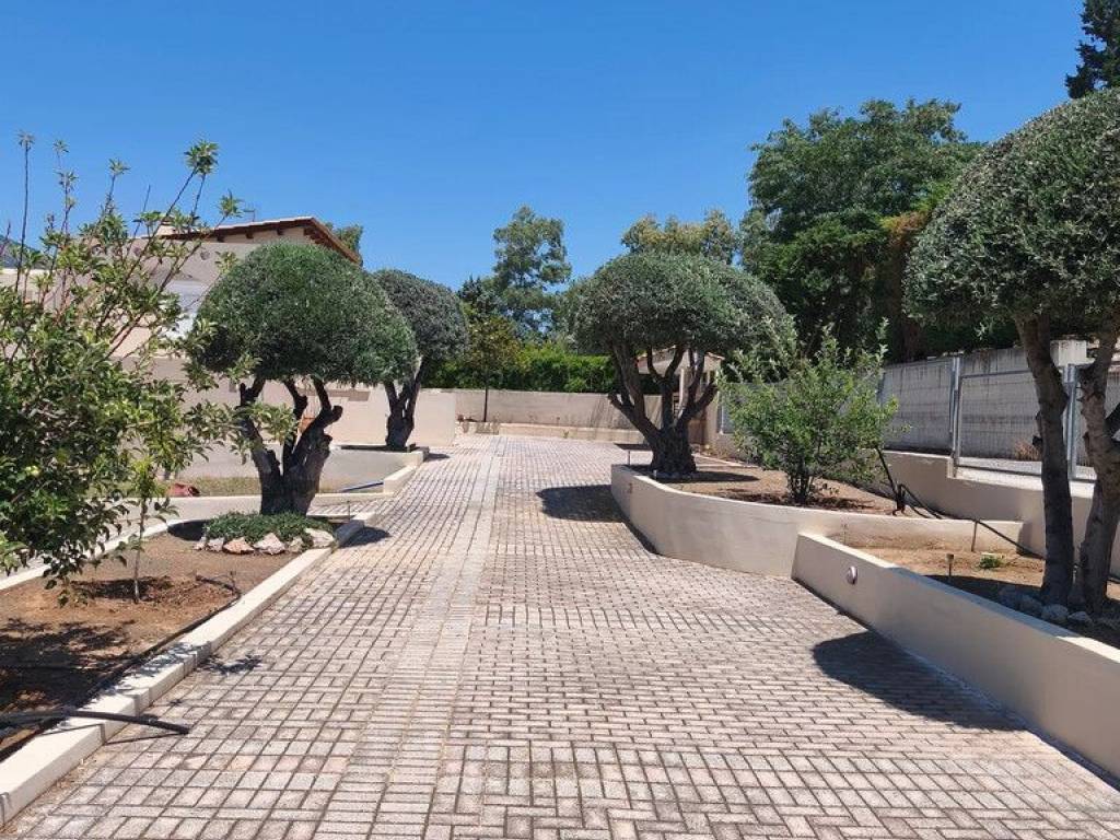 Maisonette - Grekodom 65471|1049056