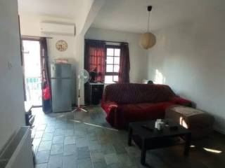 Apartment - Grekodom 65484|1049279