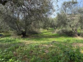 Plot - Grekodom 65485|1049284