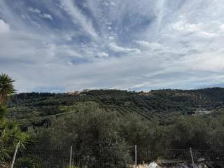 Plot - Grekodom 65485|1049286