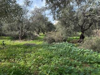 Plot - Grekodom 65485|1049288