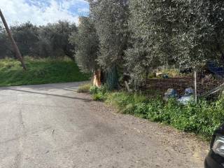 Plot - Grekodom 65485|1049289