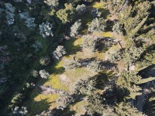 Το αγροτεμάχιο από ψηλά