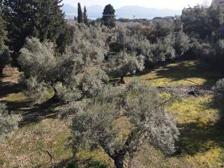 Το επίπεδο αγροτεμάχιο
