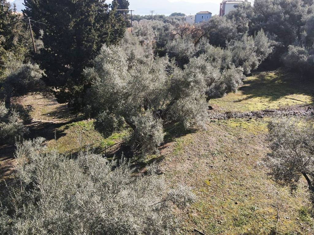 Το αγροτεμάχιο από ψηλά