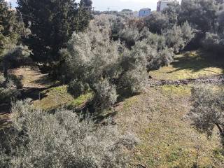 Το αγροτεμάχιο από ψηλά