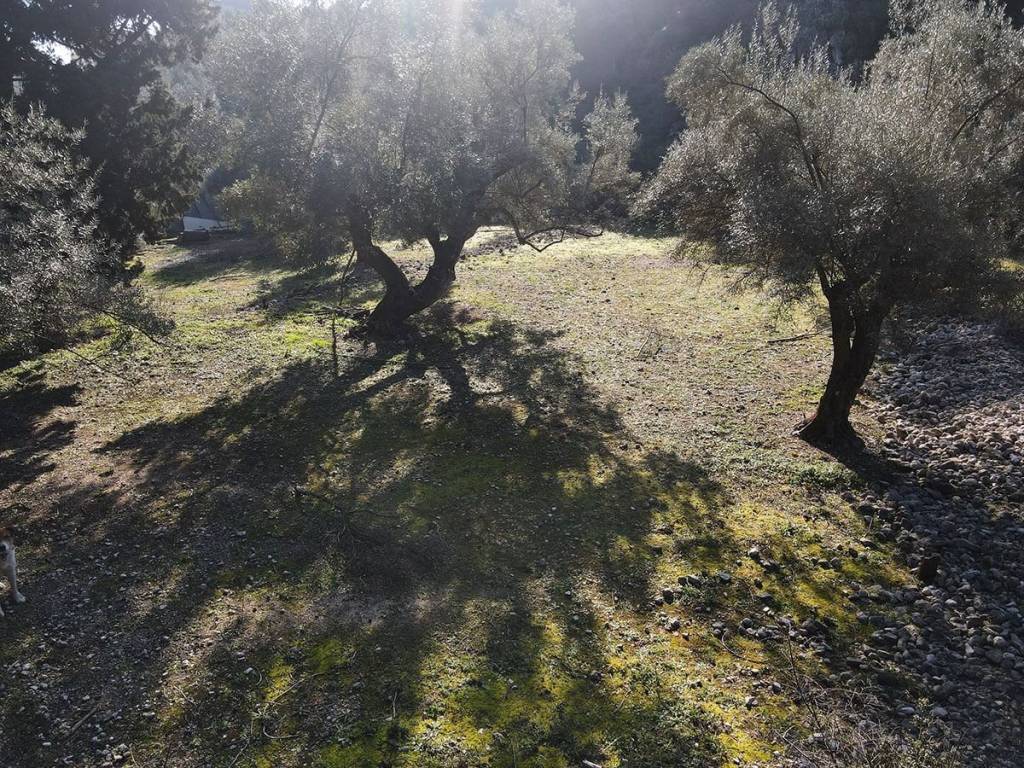 Το αγροτεμάχιο από ψηλά