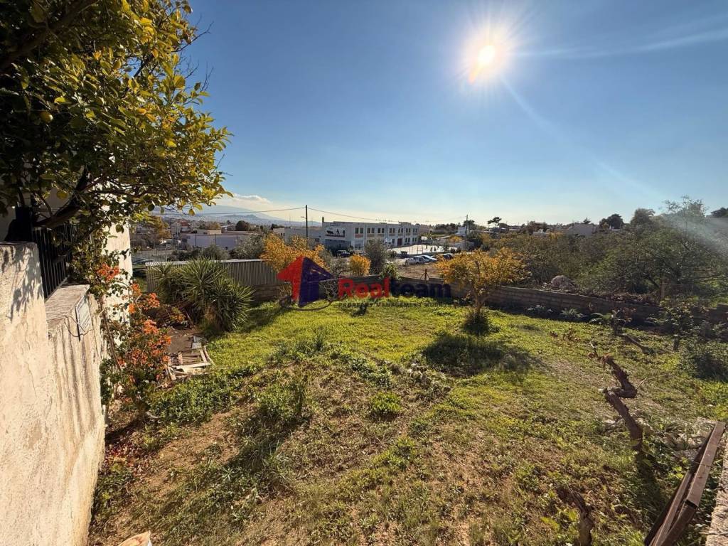 Εξωτερικοι χώροι