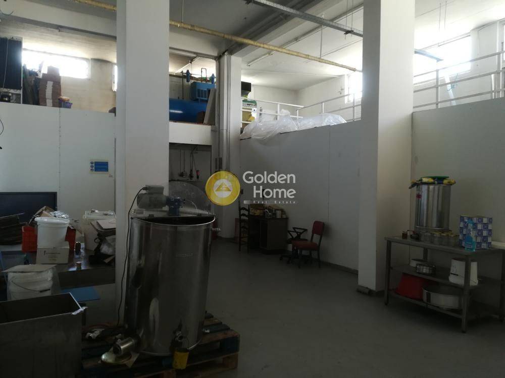 Κυρίως Χώρος