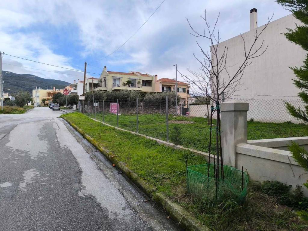 ΠΡΟΣΟΨΗ ΟΙΚΟΠΕΔΟΥ