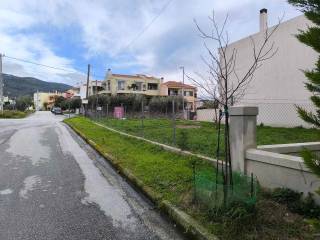 ΠΡΟΣΟΨΗ ΟΙΚΟΠΕΔΟΥ