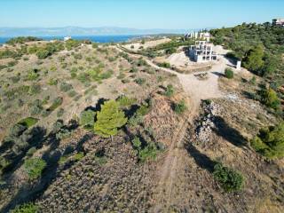 11.317tm Amphitheatriko Agrotemachio - THea thalassa