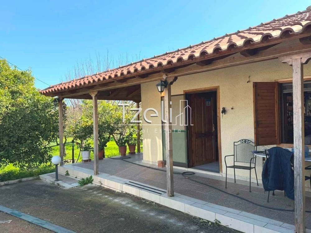 Εξωτερική άποψη χώρου