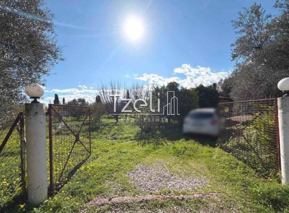 Εξωτερική άποψη χώρου