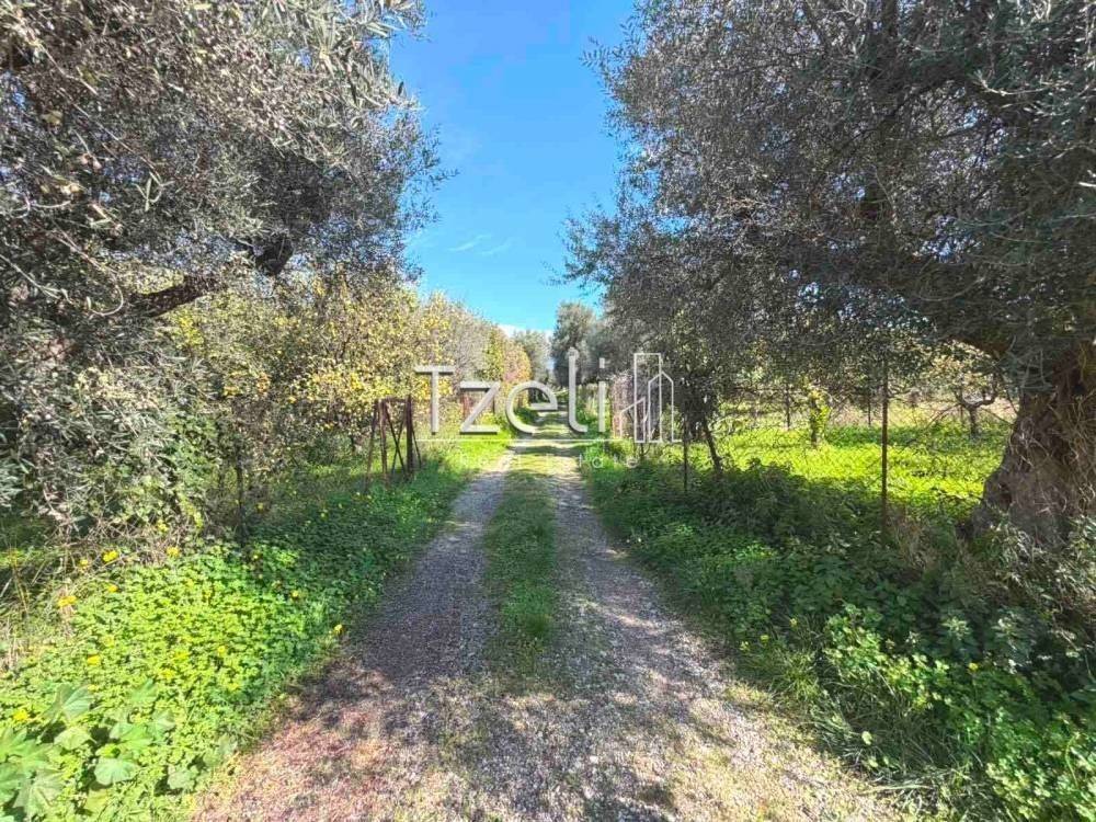 Εξωτερική άποψη χώρου