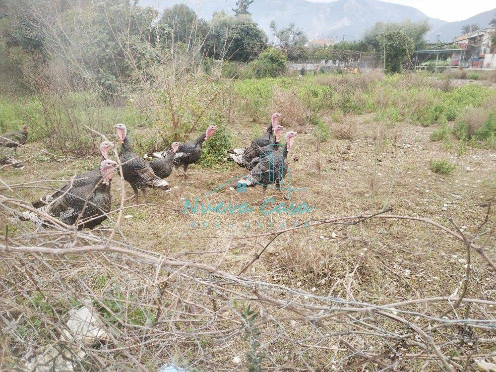 Άποψη χώρου